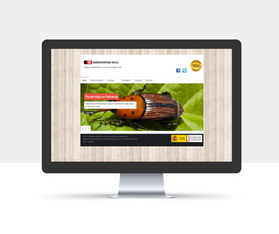 diseño página web buenaventura rico