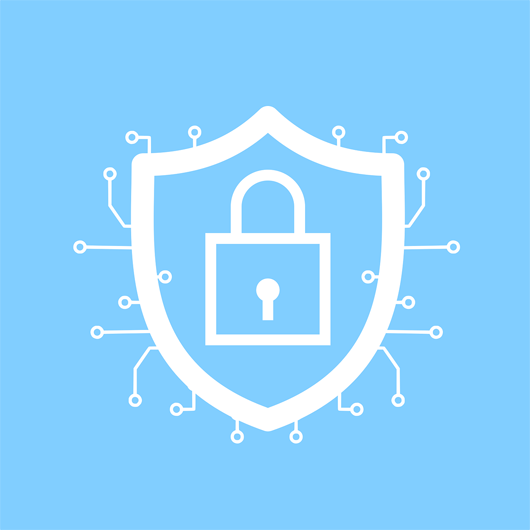 CIBERSEGURIDAD